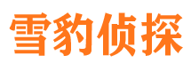 上街市婚外情调查